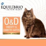 7896588953646---equilibrio-gatos-obesidade---foto-2