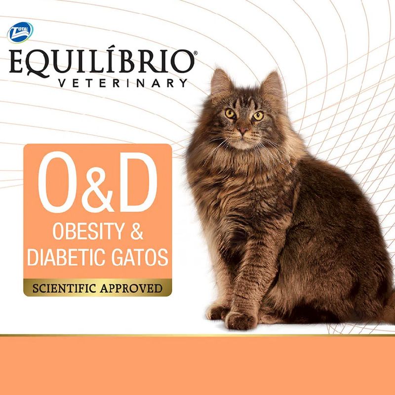 7896588953646---equilibrio-gatos-obesidade---foto-2