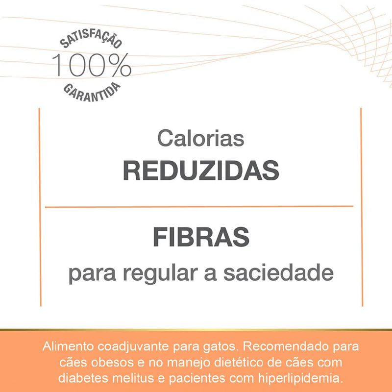 7896588953646---equilibrio-gatos-obesidade---foto-3