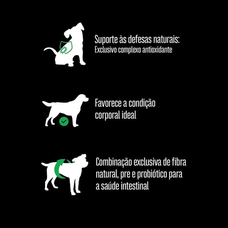 7896588963959---foto-4