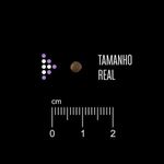 7896588963836---foto-3