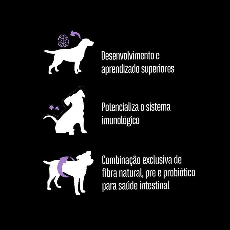7896588963836---foto-4