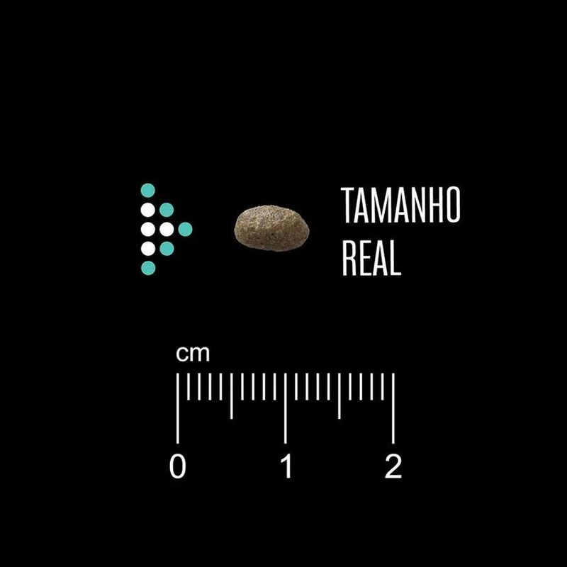 7896588963775---foto-3
