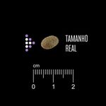 7896588963522---foto-3