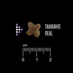 7896588963867---foto-2