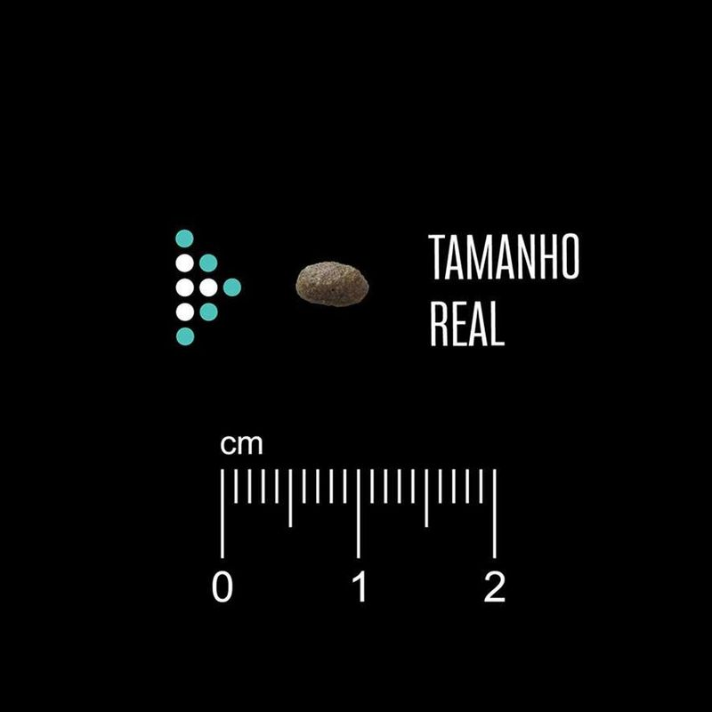 7896588963768---foto-4