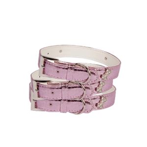 Coleira Fashion Bone Strass G