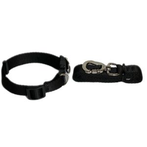 Coleira e Guia Preto P Nylon
