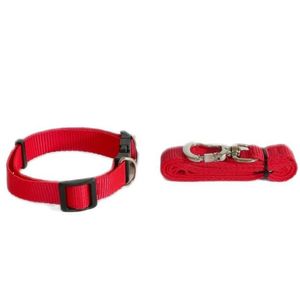 Coleira e Guia Vermelho G Nylon