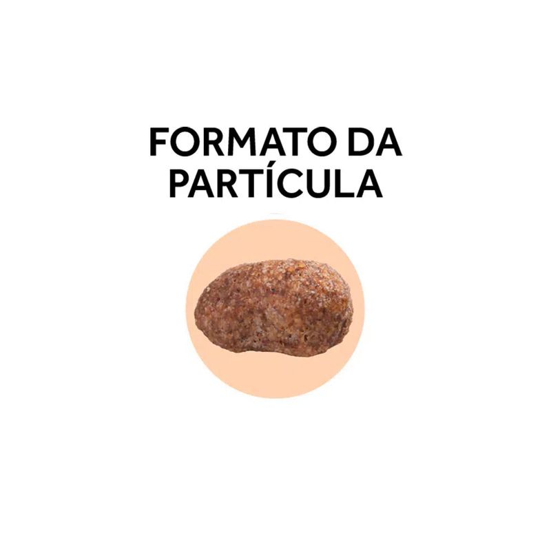 7896048916655---foto-4