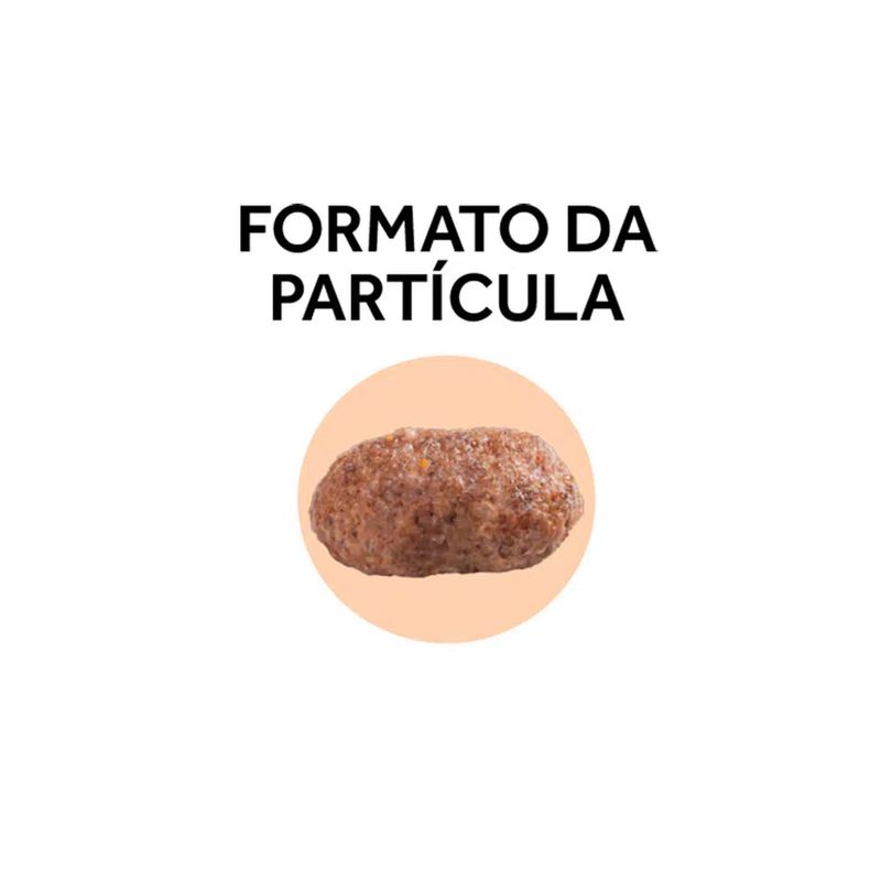 7896048916648---foto-3