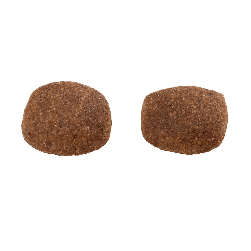 Racao-Guabi-Natural-Caes-Adultos-Grandes-Frango-e-Arroz-formato-do-grao