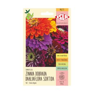 Isla Zinnia obrada Dahliaflora Sortida