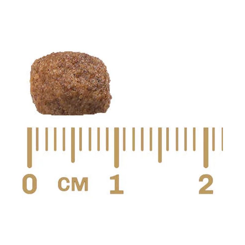 Racao_Affinity_PetCare_GranPlus_Menu_Carne_e_Arroz_para_Caes_Adultos_Mini_1746161_2---2
