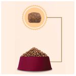 Racao_Affinity_PetCare_GranPlus_Menu_Carne_e_Arroz_para_Caes_Adultos_Mini_1746161_2---3