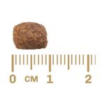Racao_Affinity_PetCare_GranPlus_Menu_Carne_e_Arroz_para_Caes_Adultos_Mini_1746161_2---2