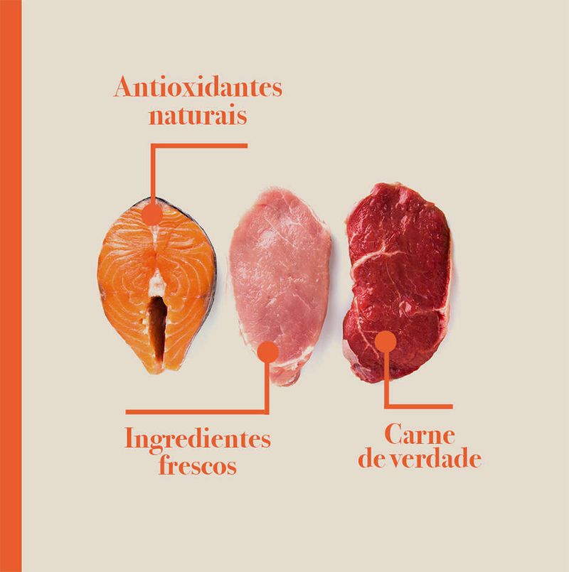 Racao_Seca_Biofresh_Mix_de_Carne__Frutas__Legumes_e_Ervas_Frescas_Caes_Castrados_de_Racas_Pequenas_e_Minis_2487511_4