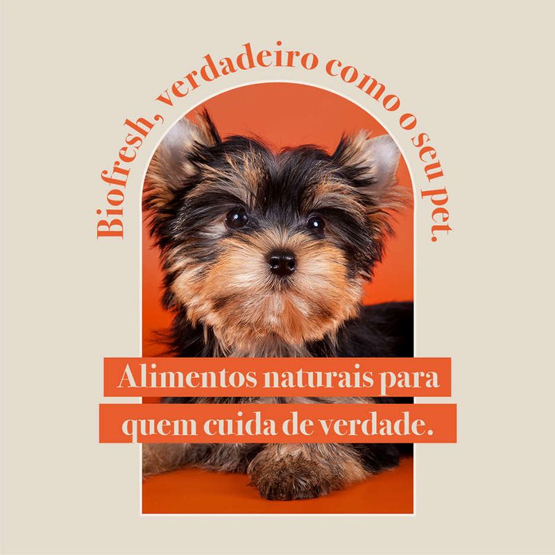 Racao_Seca_Biofresh_Mix_de_Carne__Frutas__Legumes_e_Ervas_Frescas_Caes_Castrados_de_Racas_Pequenas_e_Minis_2487511_6