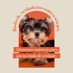Racao_Seca_Biofresh_Mix_de_Carne__Frutas__Legumes_e_Ervas_Frescas_Caes_Castrados_de_Racas_Pequenas_e_Minis_2487511_6