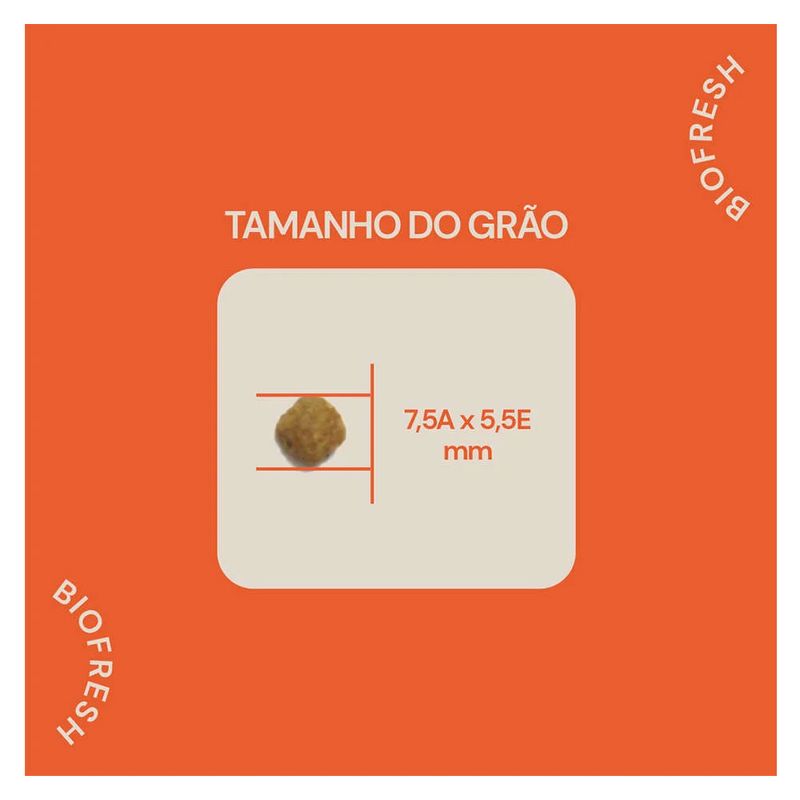 7908320400100---foto-6