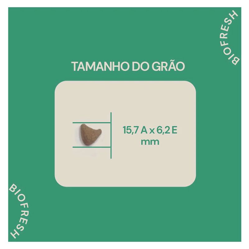 7908320400353---foto-7