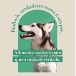 Racao_Seca_Biofresh_Mix_de_Carne__Frutas__Legumes_e_Ervas_Frescas_Light_Caes_de_Racas_Grandes_e_Gigantes_2487517_3