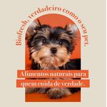 Racao_Seca_Biofresh_Mix_de_Carne__Frutas__Legumes_e_Ervas_Frescas_Caes_Senior_de_Racas_Pequenas_e_Minis_2487506_3