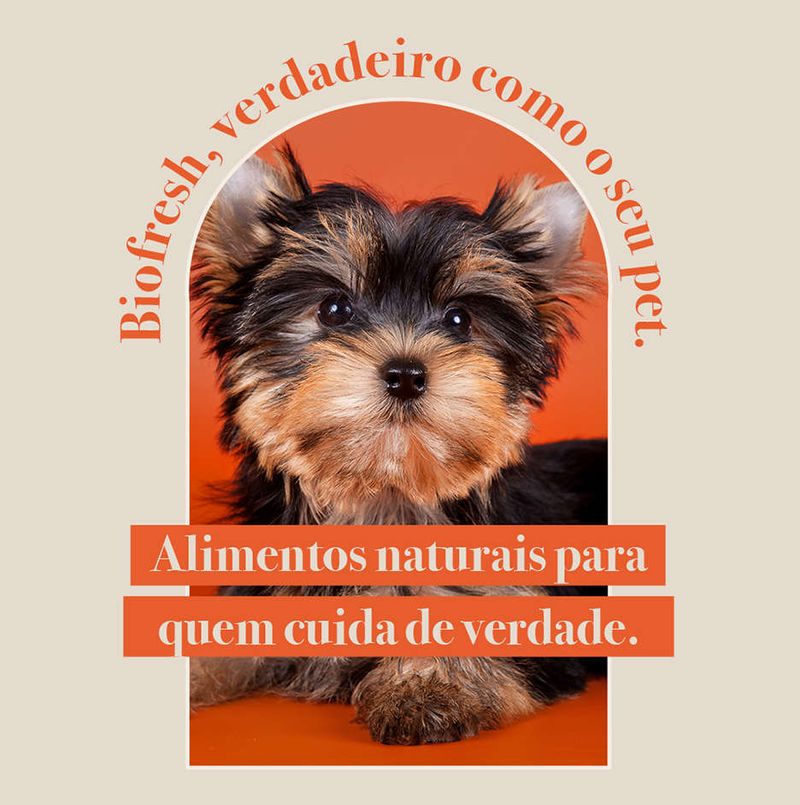 Racao_Seca_Biofresh_Mix_de_Carne__Frutas__Legumes_e_Ervas_Frescas_Caes_Senior_de_Racas_Pequenas_e_Minis_2487506_3
