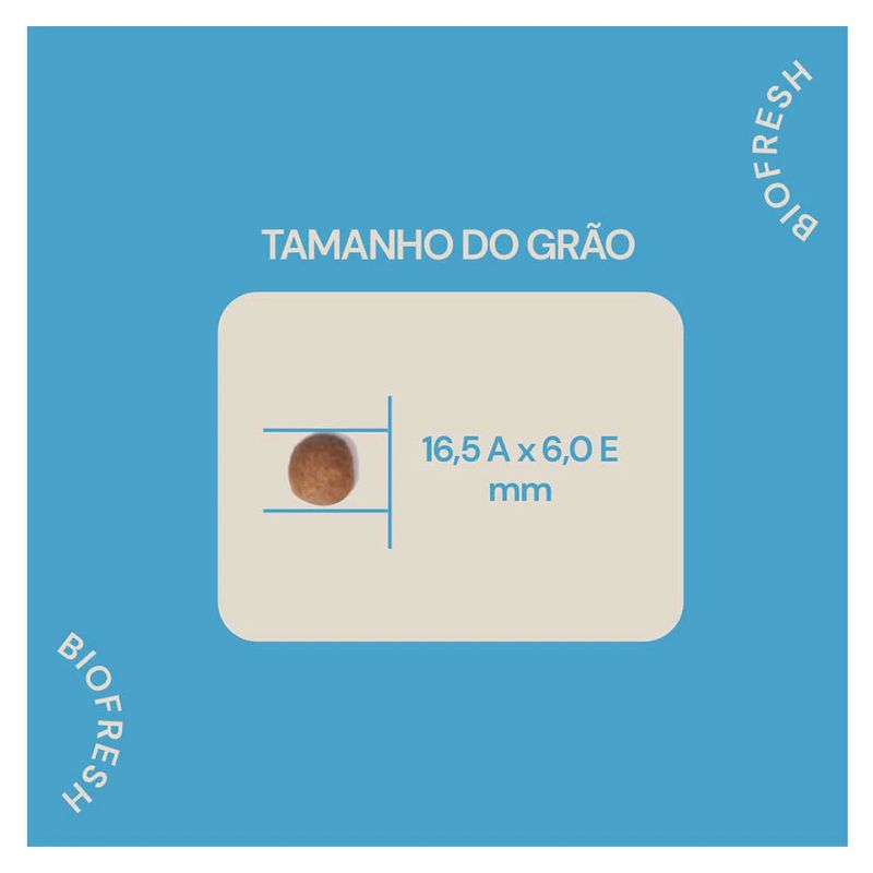 7908320400292----foto-6