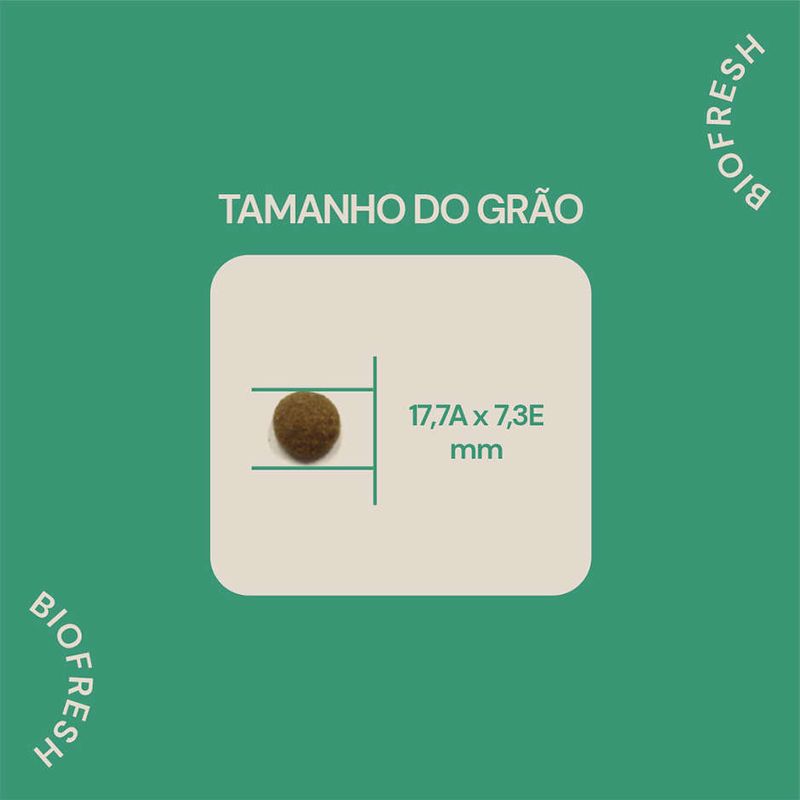 Racao_Seca_Biofresh_Mix_de_Carne__Frutas__Legumes_e_Ervas_Frescas_Caes_Adultos_de_Racas_Grandes_e_Gigantes_2487514_5