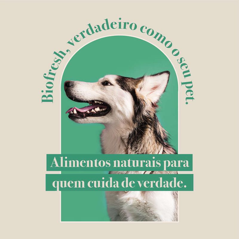 Racao_Seca_Biofresh_Mix_de_Carne__Frutas__Legumes_e_Ervas_Frescas_Caes_Adultos_de_Racas_Grandes_e_Gigantes_2487514_4