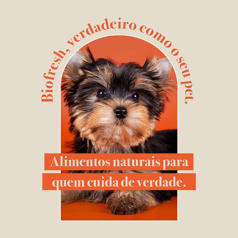 Racao_Seca_Biofresh_Mix_de_Carne__Frutas__Legumes_e_Ervas_Frescas_Light_Caes_de_Racas_Pequenas_e_Minis_2487510_6