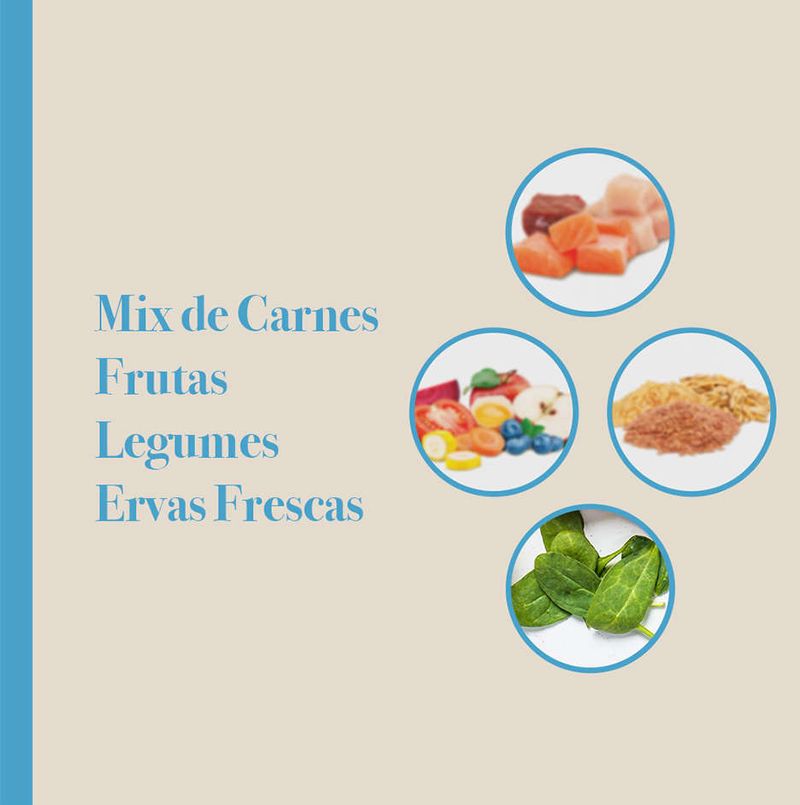 Racao_Seca_Biofresh_Mix_de_Carne__Frutas__Legumes_e_Ervas_Frescas_Caes_Senior_de_Racas_Medias_2487509_7