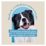 7908320400407---foto-5