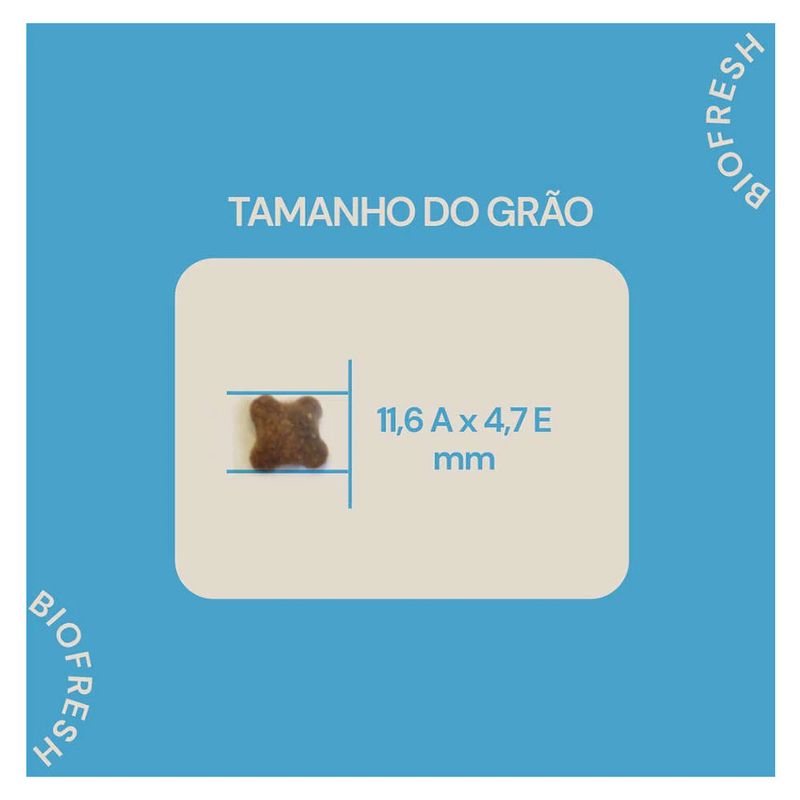 7908320400407---foto-7