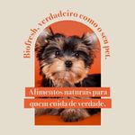 Racao_Seca_Biofresh_Mix_de_Carne__Frutas__Legumes_e_Ervas_Frescas_Light_Caes_de_Racas_Pequenas_e_Minis_2487510_6