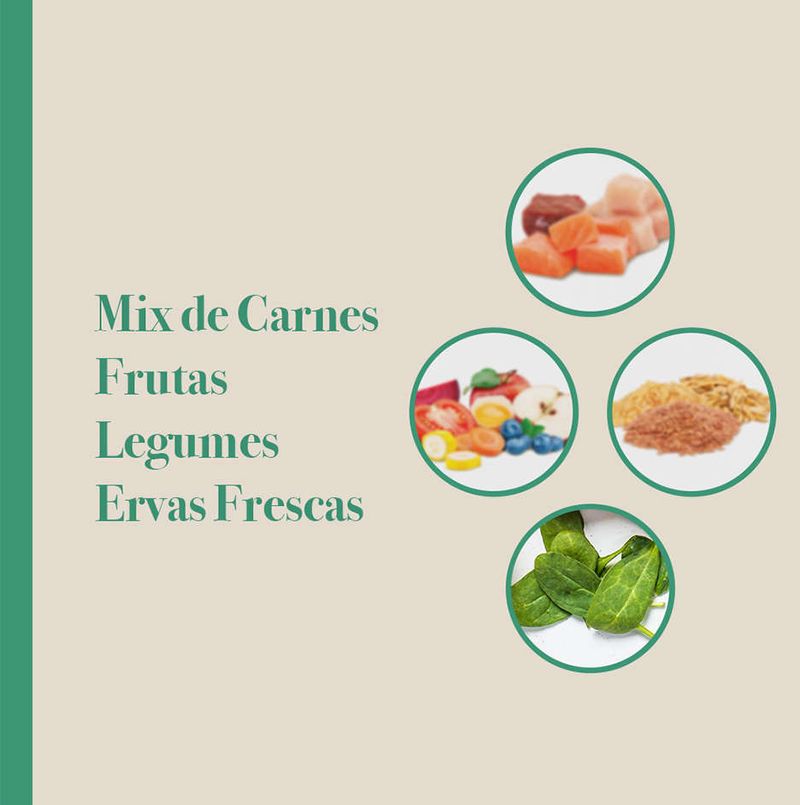 Racao_Seca_Biofresh_Mix_de_Carne__Frutas__Legumes_e_Ervas_Frescas_Caes_Senior_de_Racas_Grandes_e_Gigantes_2487516_7