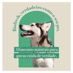 7908320400261---foto-3