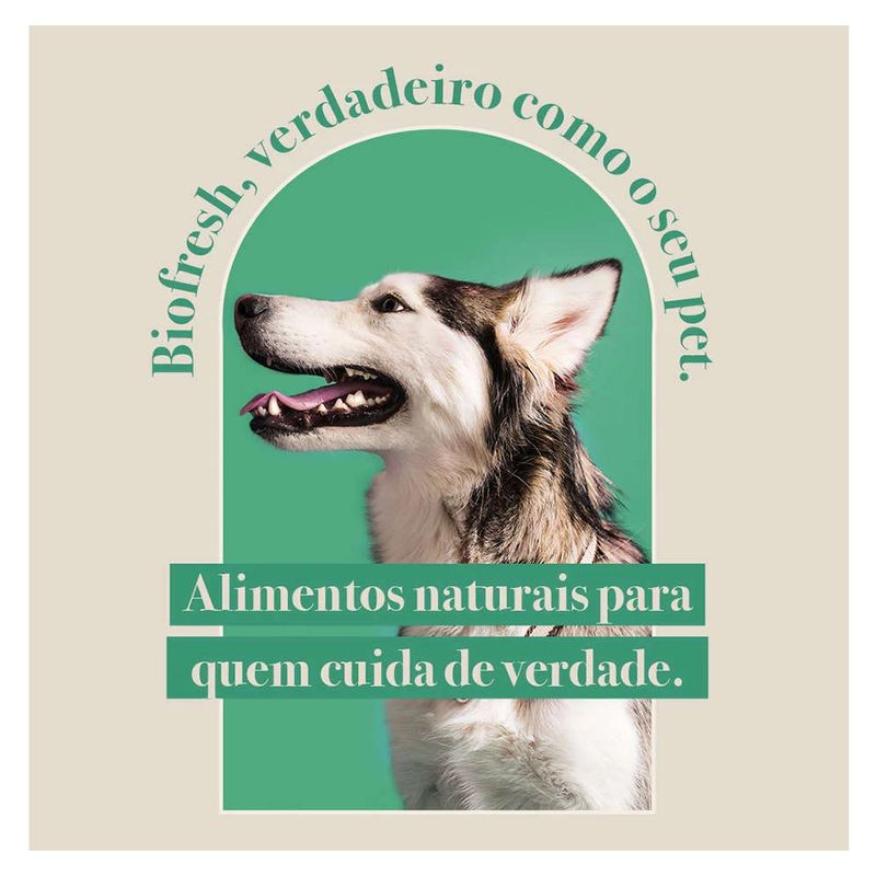 7908320400261---foto-3