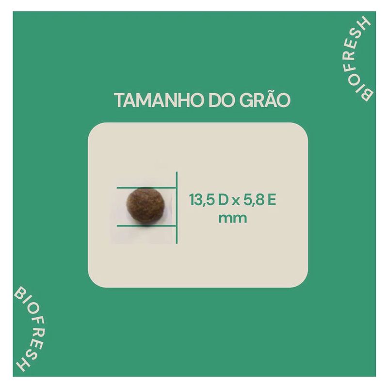 7908320400261---foto-4