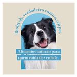 7908320400230---foto-6