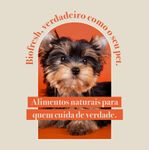 Racao_Seca_Biofresh_Mix_de_Carne__Frutas__Legumes_e_Ervas_Frescas_Caes_Adultos_de_Racas_Pequenas_e_Minis_2487505_4