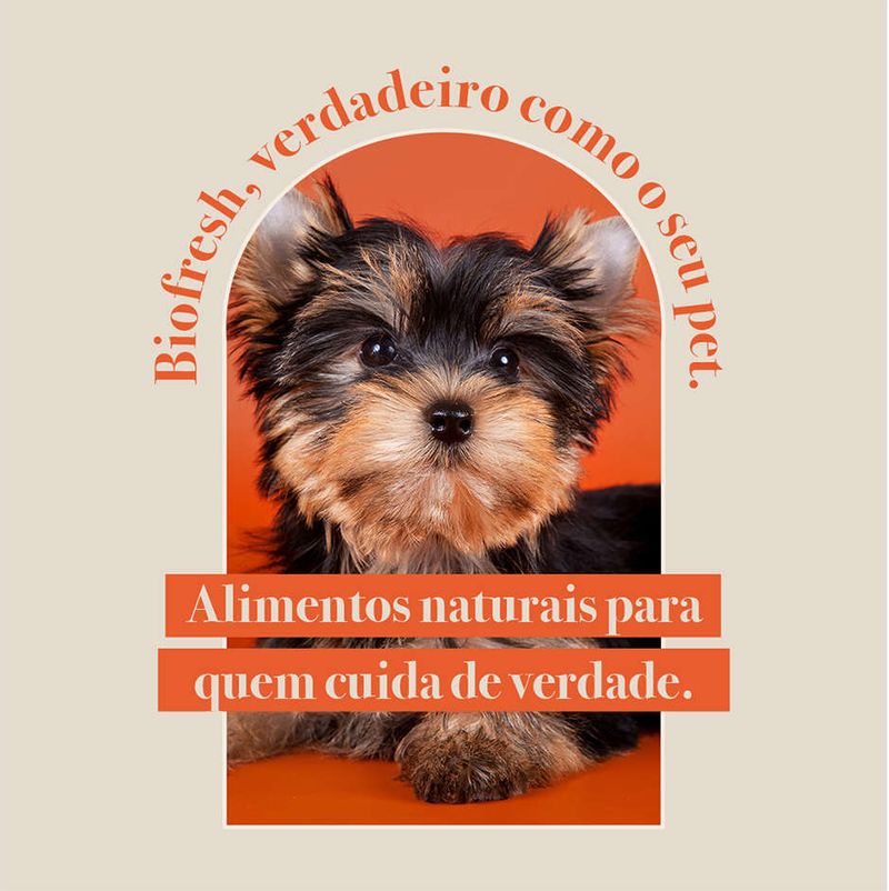 Racao_Seca_Biofresh_Mix_de_Carne__Frutas__Legumes_e_Ervas_Frescas_Caes_Adultos_de_Racas_Pequenas_e_Minis_2487505_4
