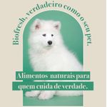 Racao_Seca_Biofresh_Frango__Maca__Arroz_integral_e_Ervas_Caes_Adultos_Racas_Grandes_e_Gigantes_2487521_4