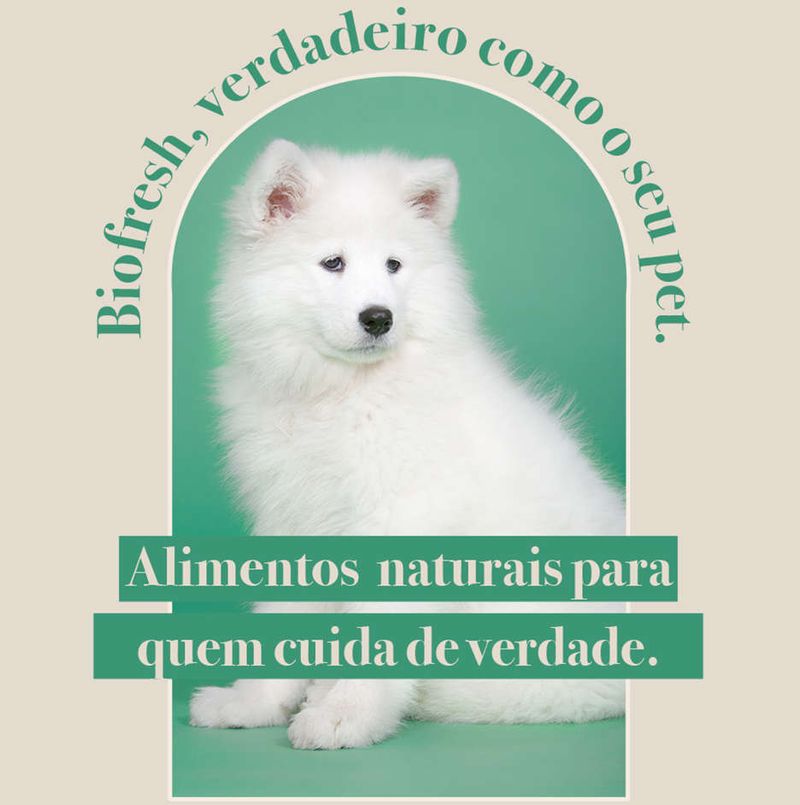 Racao_Seca_Biofresh_Frango__Maca__Arroz_integral_e_Ervas_Caes_Adultos_Racas_Grandes_e_Gigantes_2487521_4