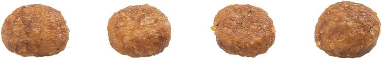 31024008_Racao_GranPlus_Frango_e_Arroz_para_Gatos_Filhotes_-1-