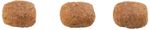 Racao_GranPlus_Carne_e_Arroz_para_Gatos_Adultos_1746329_PARTICULA