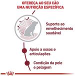 Racao_Seca_Royal_Canin_Medium_Ageing_10___para_Caes_Idosos_de_Porte_Medio_com_10_Anos_ou_mais_-_15_Kg_31017703-2_-2-