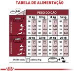 Racao_Seca_Royal_Canin_Medium_Ageing_10___para_Caes_Idosos_de_Porte_Medio_com_10_Anos_ou_mais_-_15_Kg_31017703-2_-5-