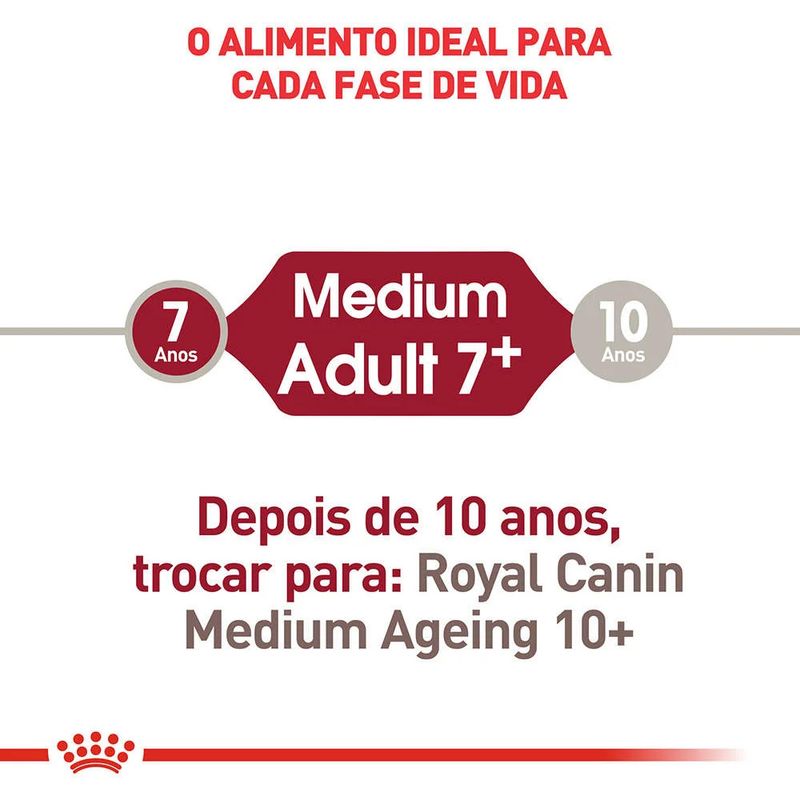 7896181216940---foto-3